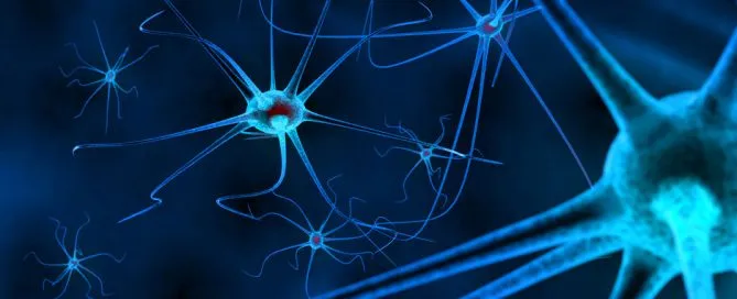 Infografía sobre neuroliderazgo aplicado a empresas, mostrando cómo la biología cerebral influye en el liderazgo de equipos.